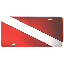 License Plate Mirrored W/flag